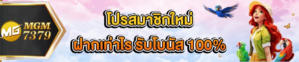 โปรโมชั่น